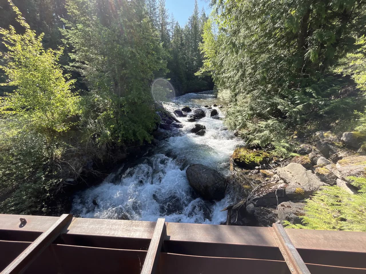 Photo Gallery, photo 9