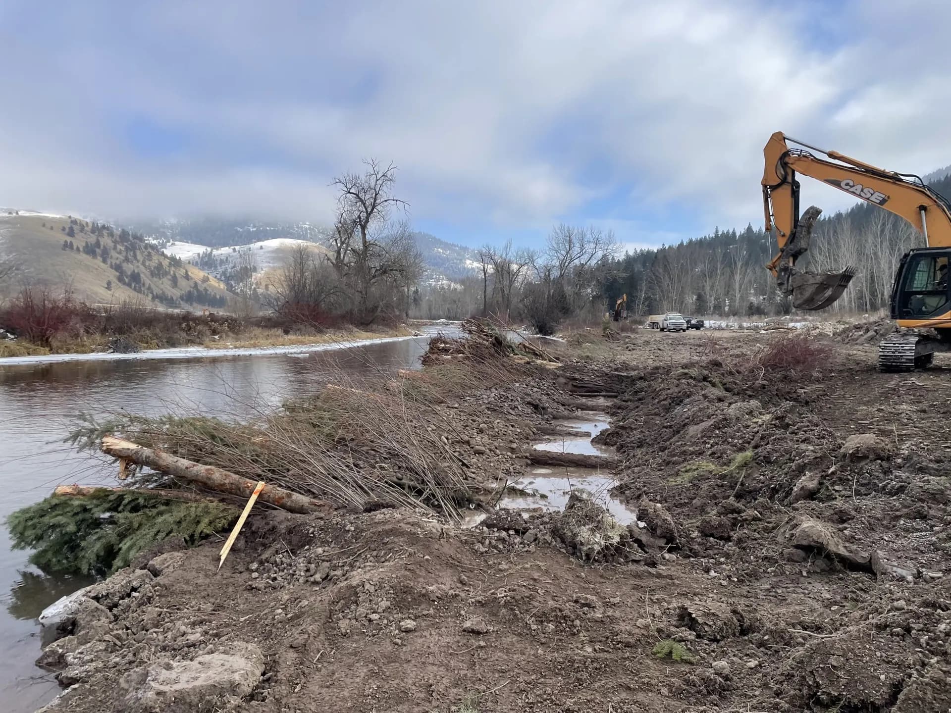 Brush bank treatments: the Lower J restoration area on the Jocko River